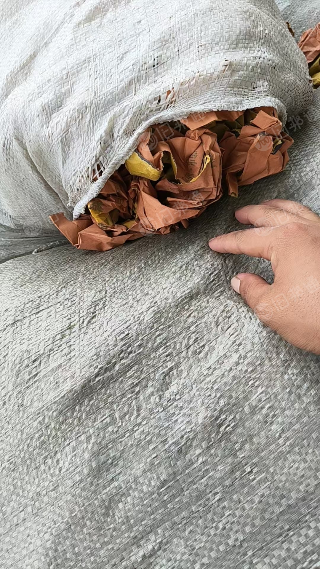 长期出售花色果袋纸废料