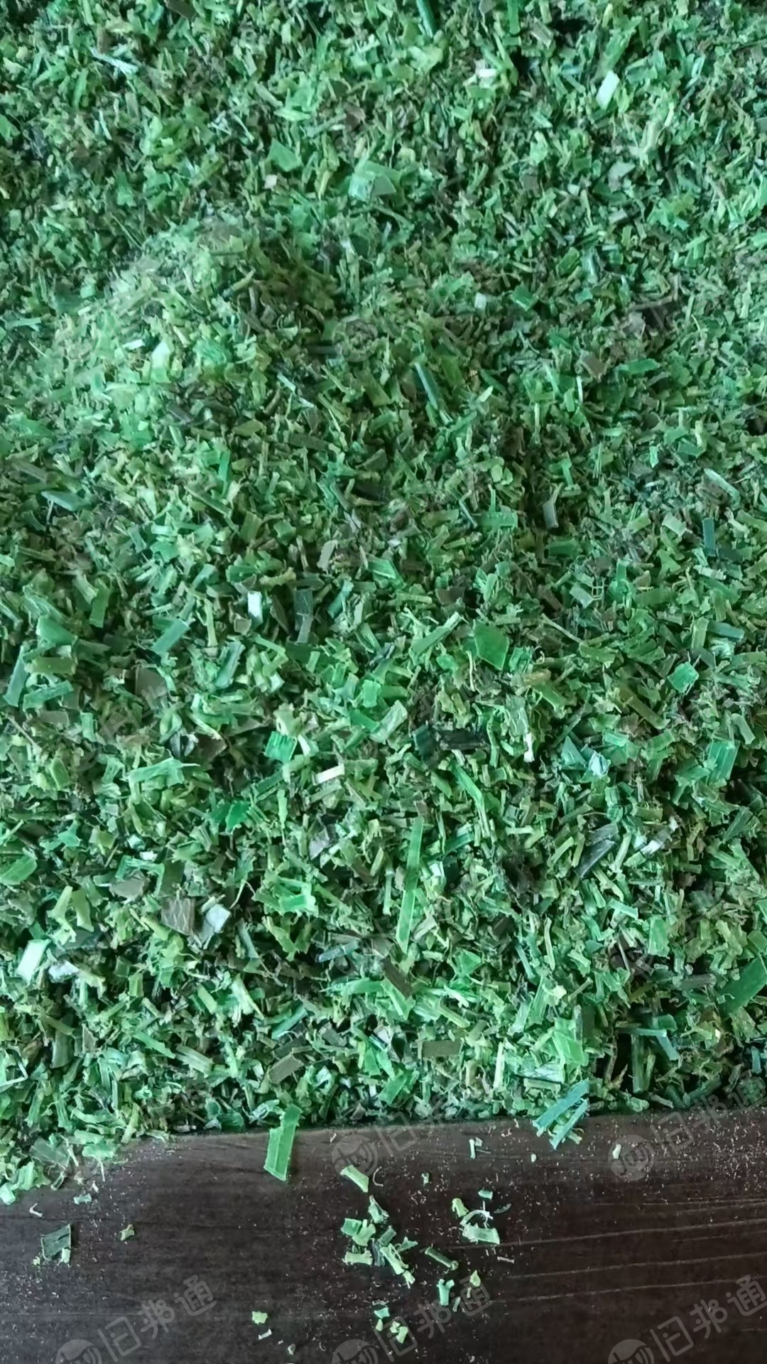 出售PET打包带破碎料，干破的，没有杂质，现货100多吨