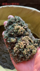 出售PVC秧盘破碎料，含水3%/4%，现货200吨