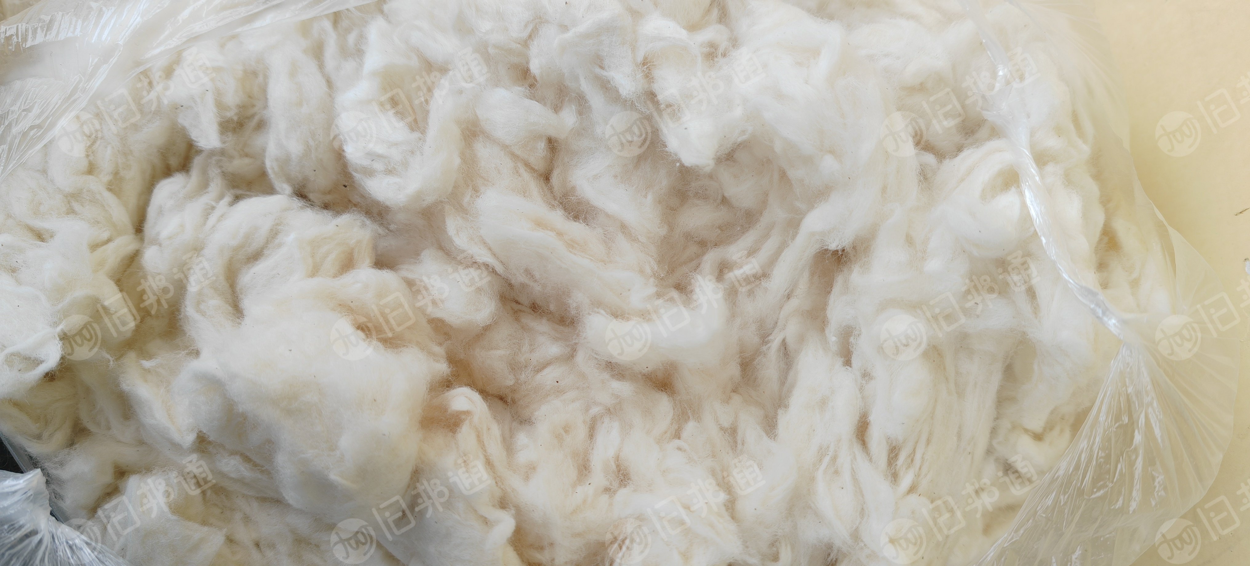 长期出售纯棉精梳落棉,大厂下来的货,漂白本白都有,每个月有140多吨,货在山东德州