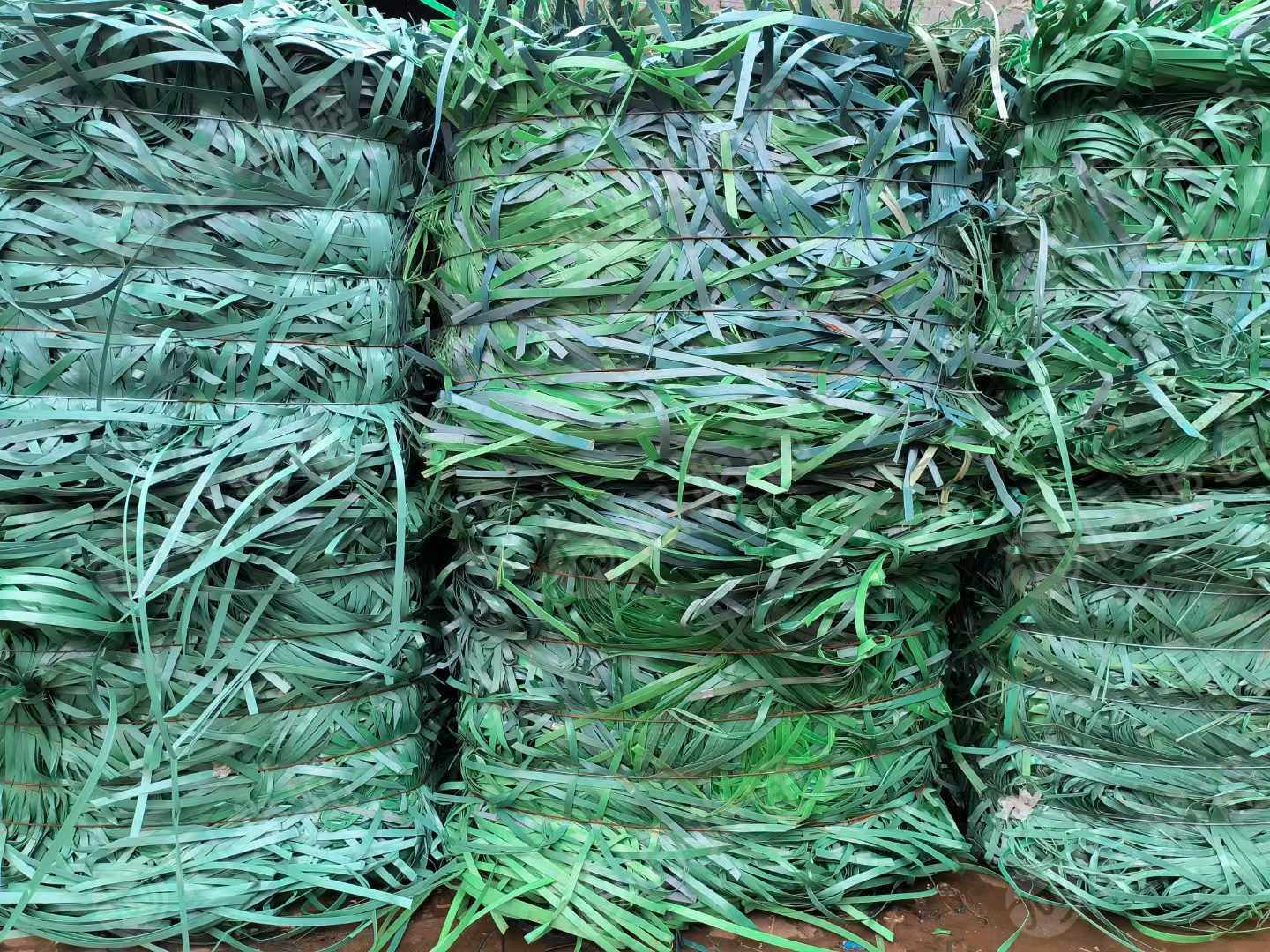 长期求购PET打包带毛料，做破碎