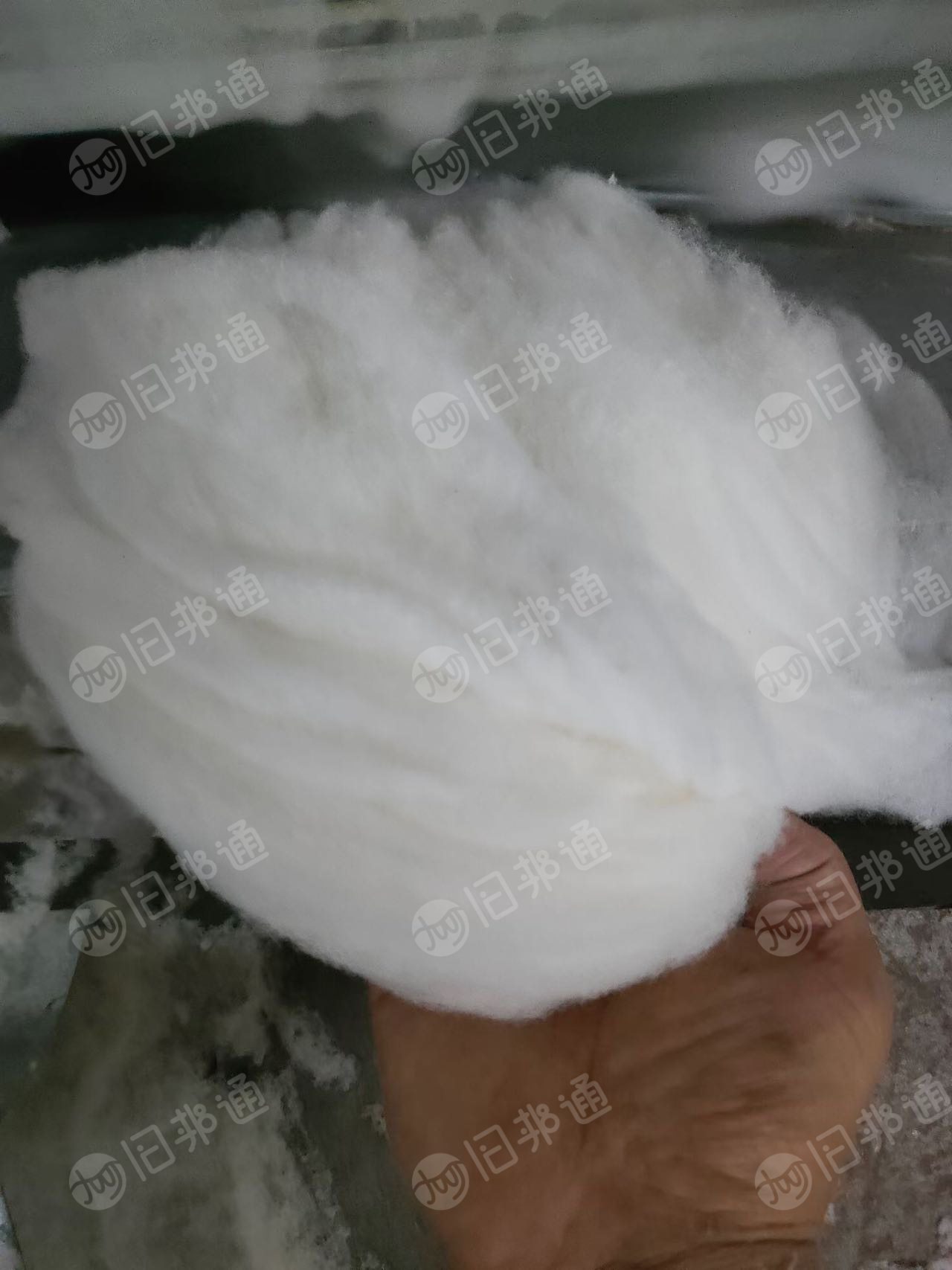 长期出售纯棉开花棉,纯棉回丝开出来的,100%纯棉,可以纺21支32支纱线,每个月100多吨