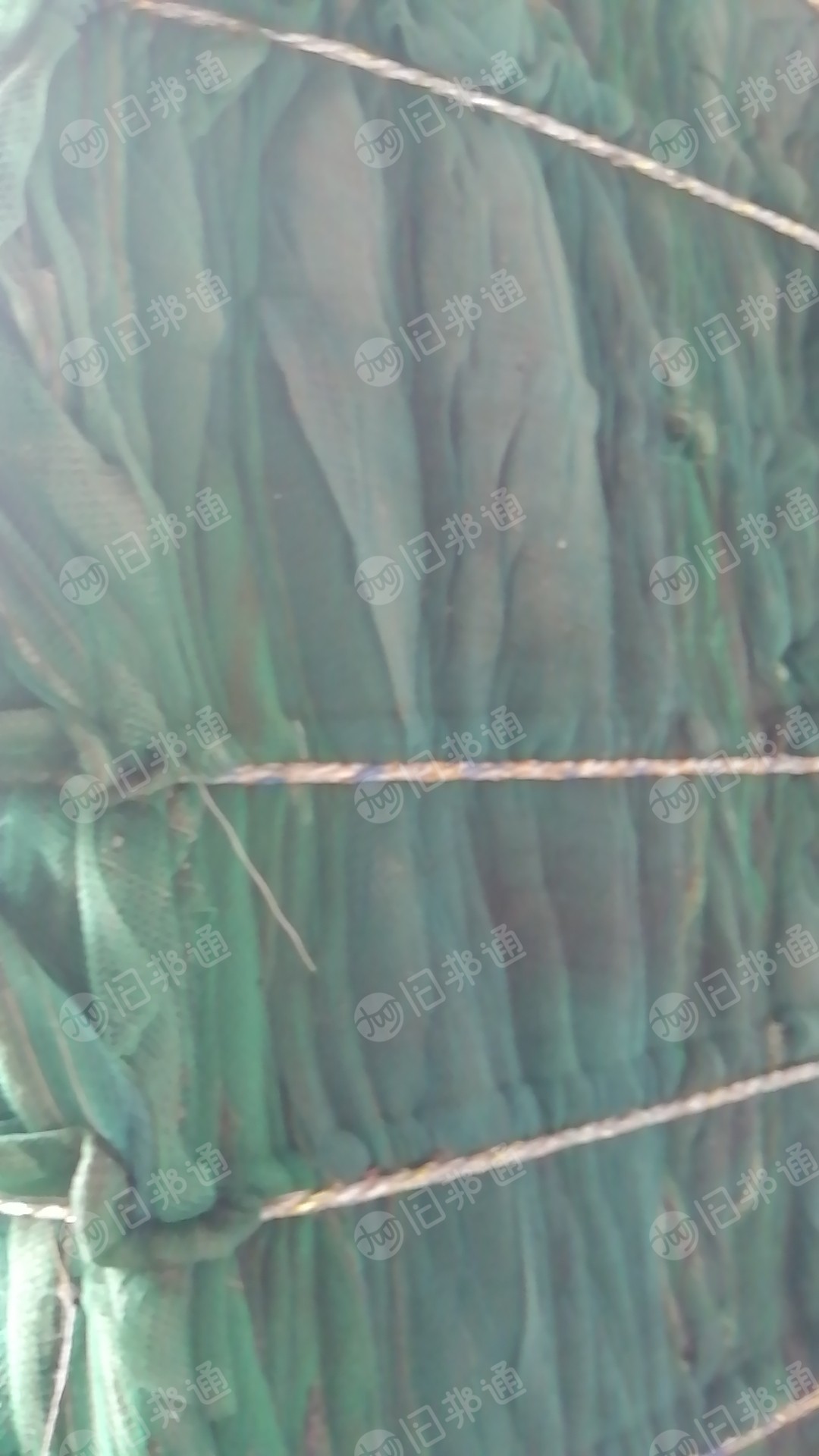 常年出售PA安全网废料,可炼油可造粒