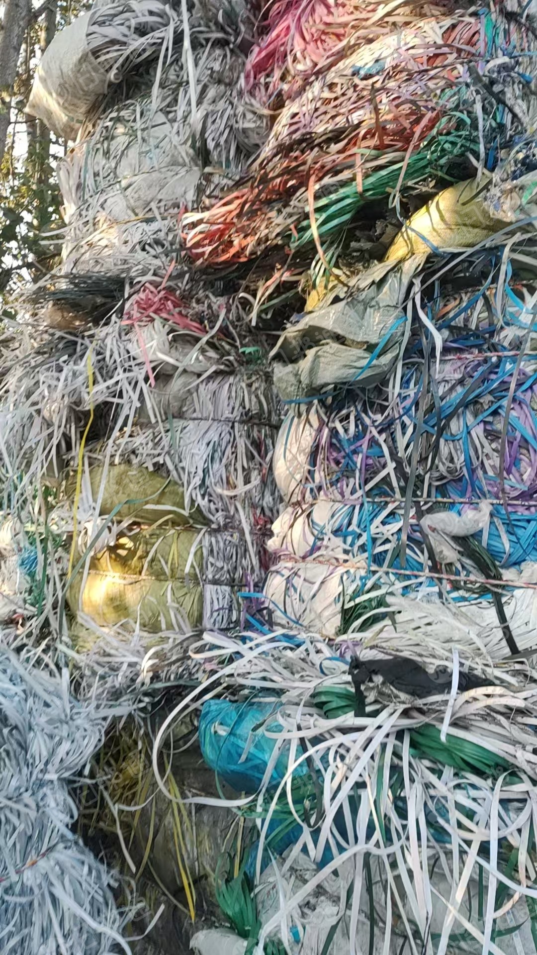 长期出售PP打包带废料，漂沉一起的