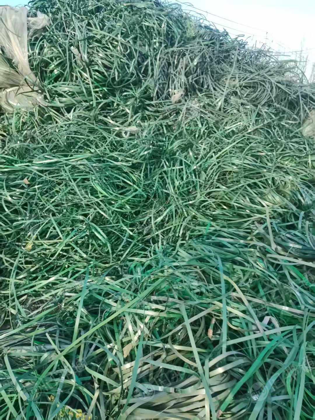 大量出售PET打包带废料