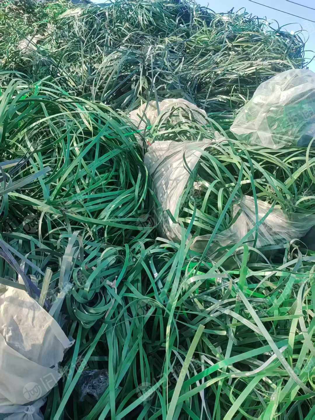 大量出售PET打包带废料