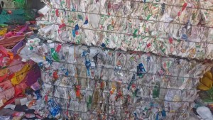 长期出售大小白压快，现货一挂车