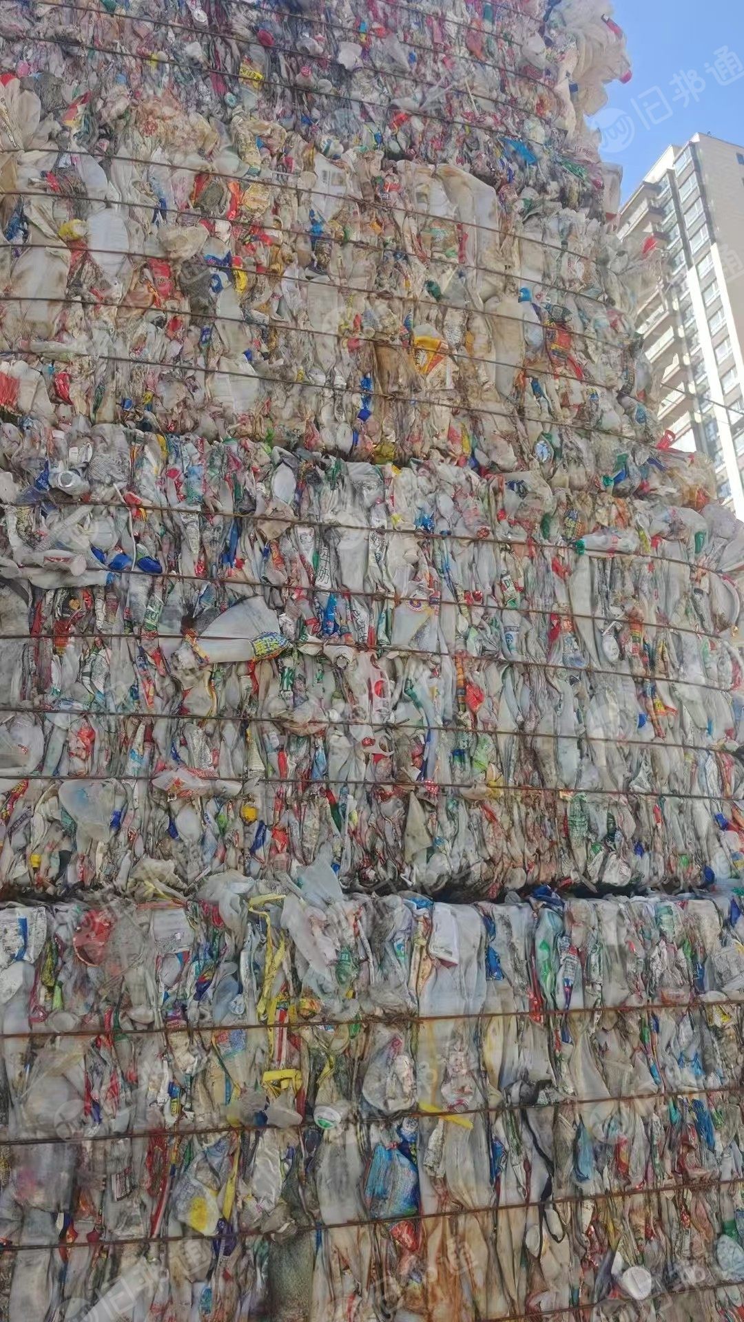 长期出售大小白压快，现货一挂车