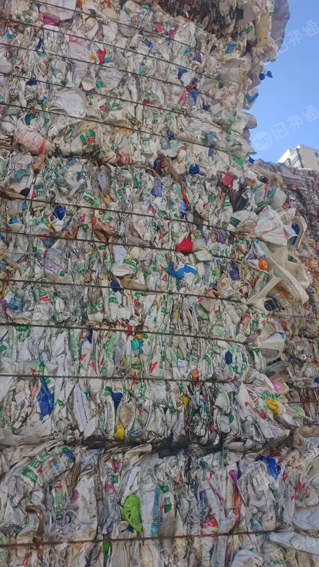 长期出售大小白压快，现货一挂车