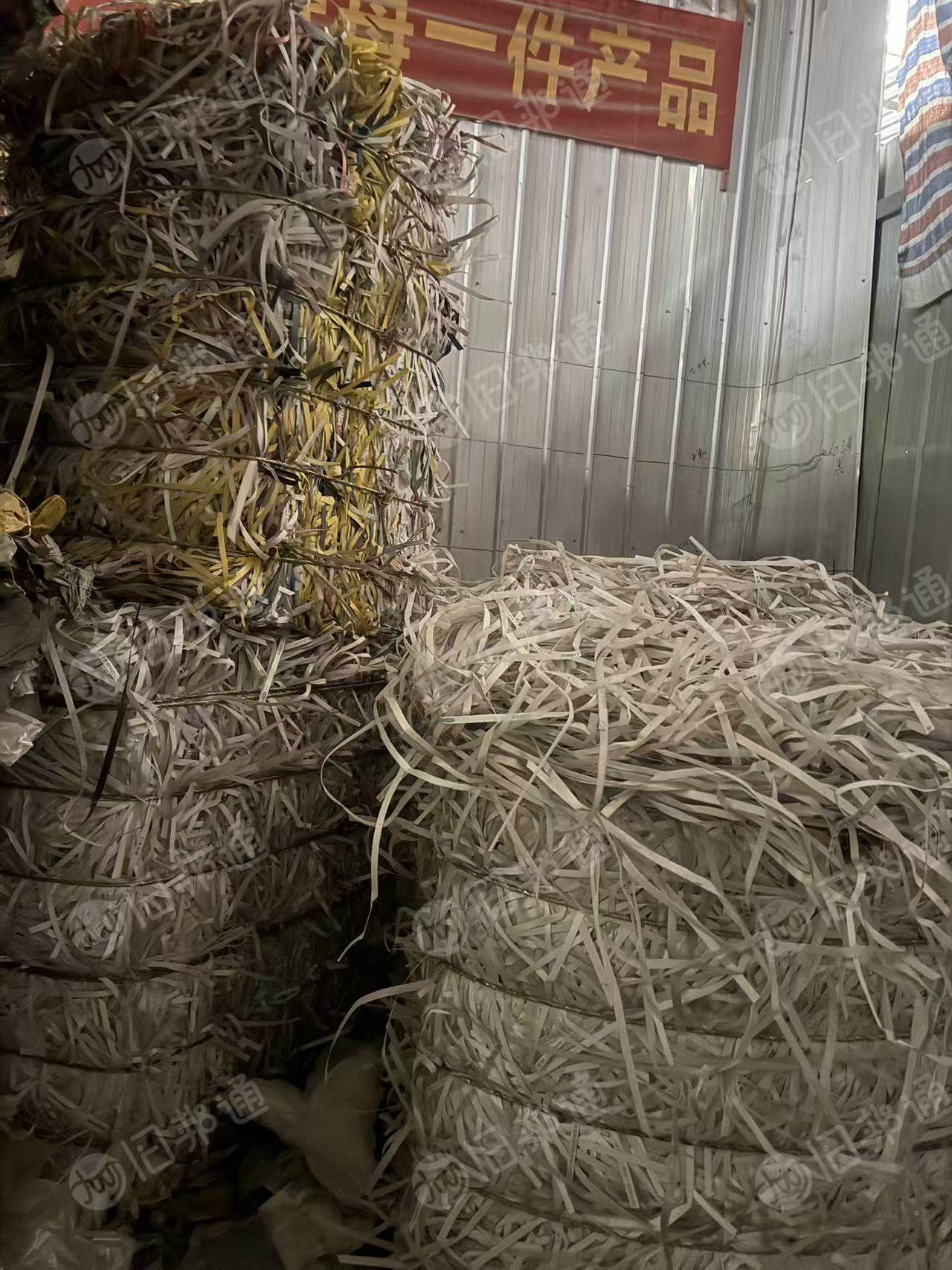 出售PP打包带毛料，基本全漂，长期有货