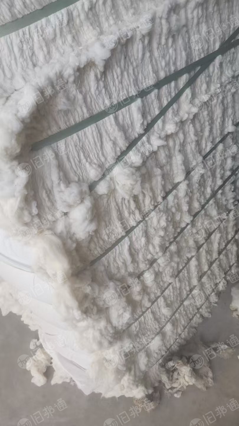 长期出售开松好的学生棉，再生棉，开花棉，月供30吨