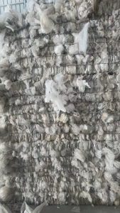 出售干造二级高压膜废料