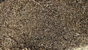 出售非标59黄铜57～59黄铜屑脱油处理，现货11吨，油份三个点