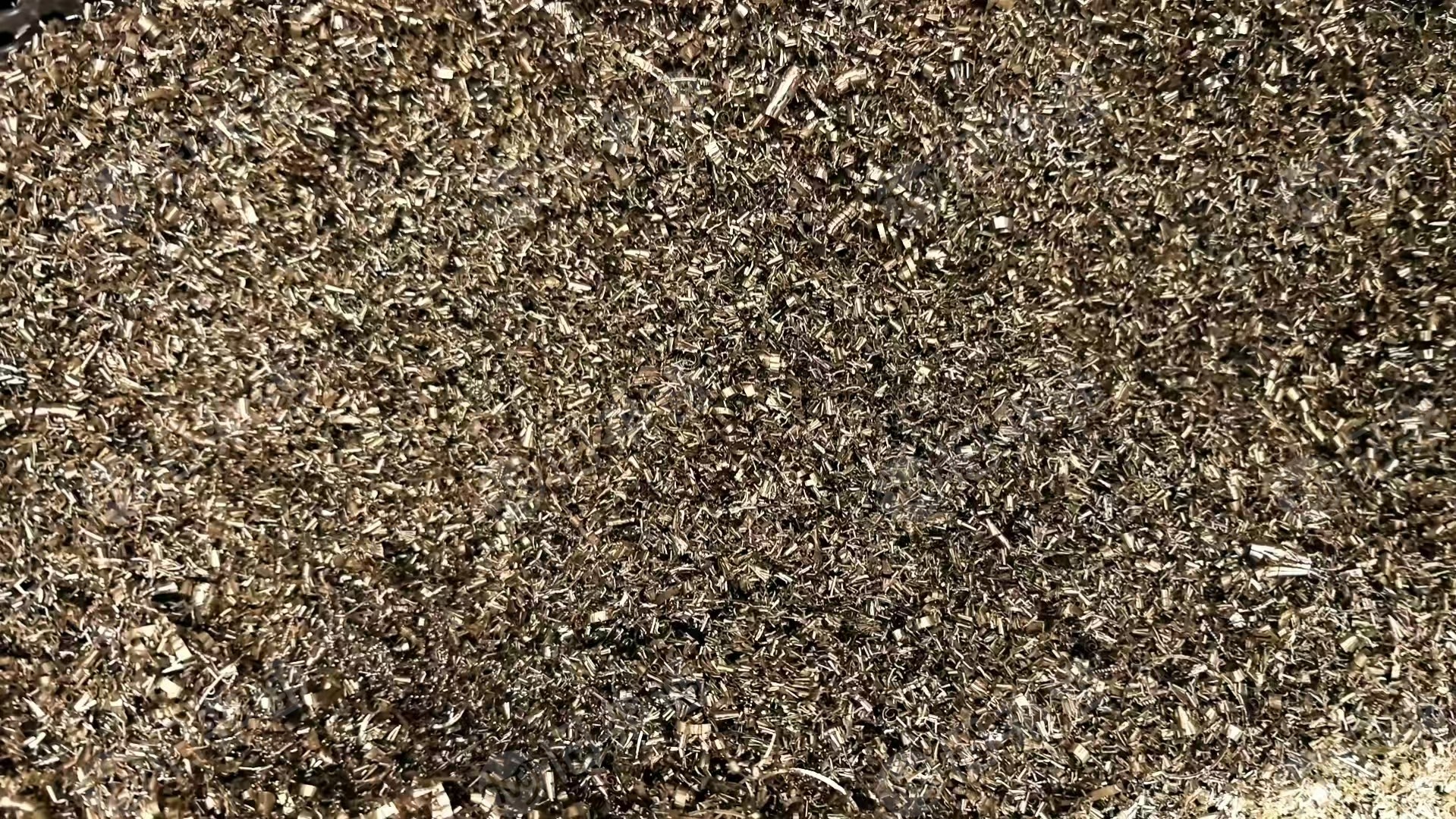 出售非标59黄铜57～59黄铜屑脱油处理，现货11吨，油份三个点