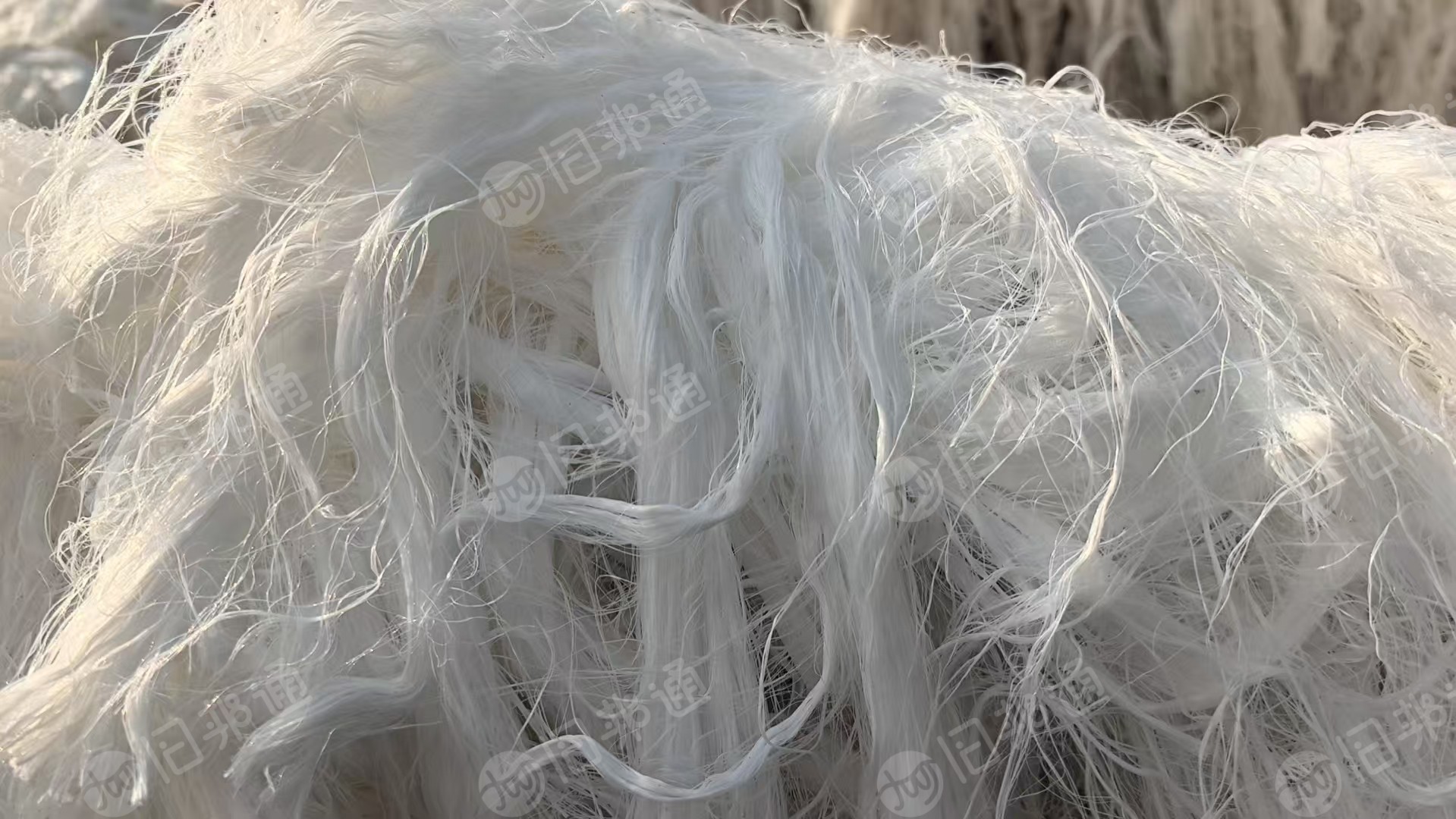 求购常规纺锦纶废丝，尼龙废丝，单双六都可，颜色不限，造粒用