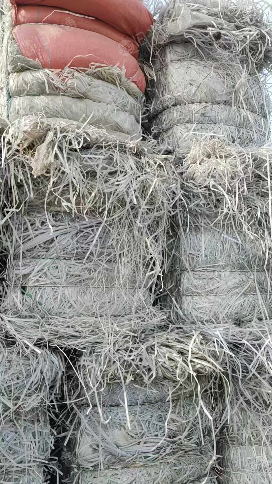 出售透明PP打包带废料