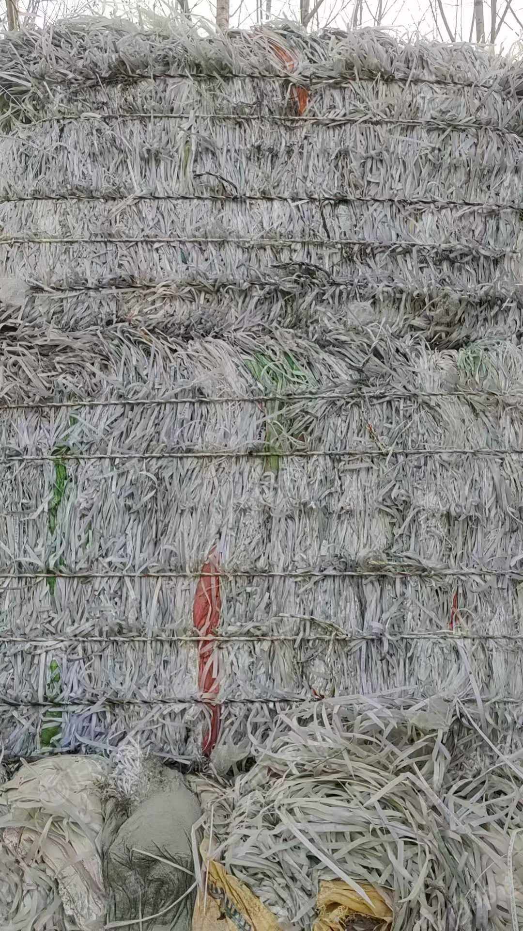 出售透明PP打包带废料