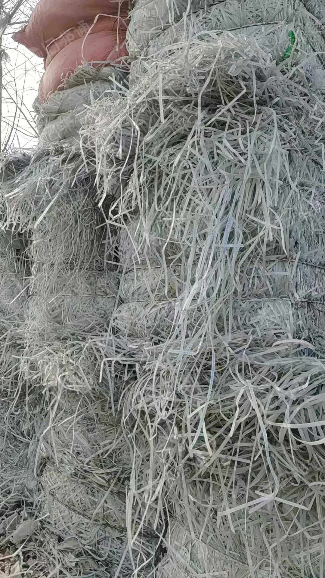 出售透明PP打包带废料