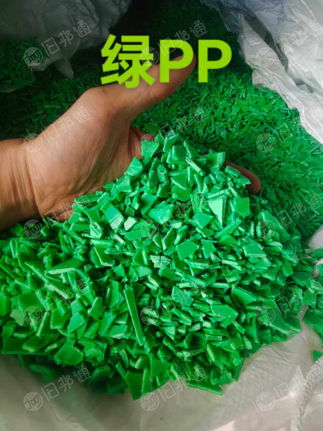 长期出售各色PP破碎料