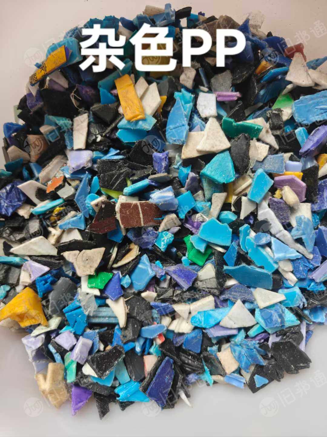 长期出售各色PP破碎料