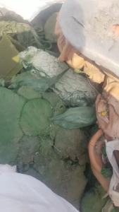 出售PP复合PE机头料，草坪机头料，新料，月供30吨