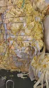 长期出售黄色淋膜纸废料