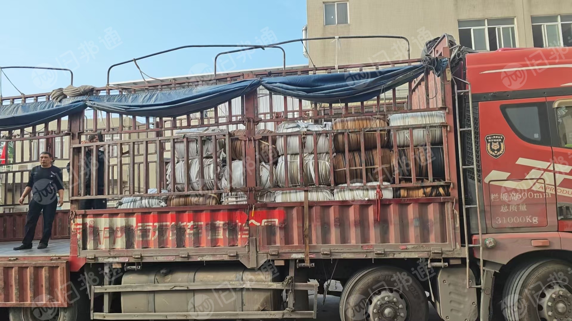 出售猫抓布条，月供四五十吨