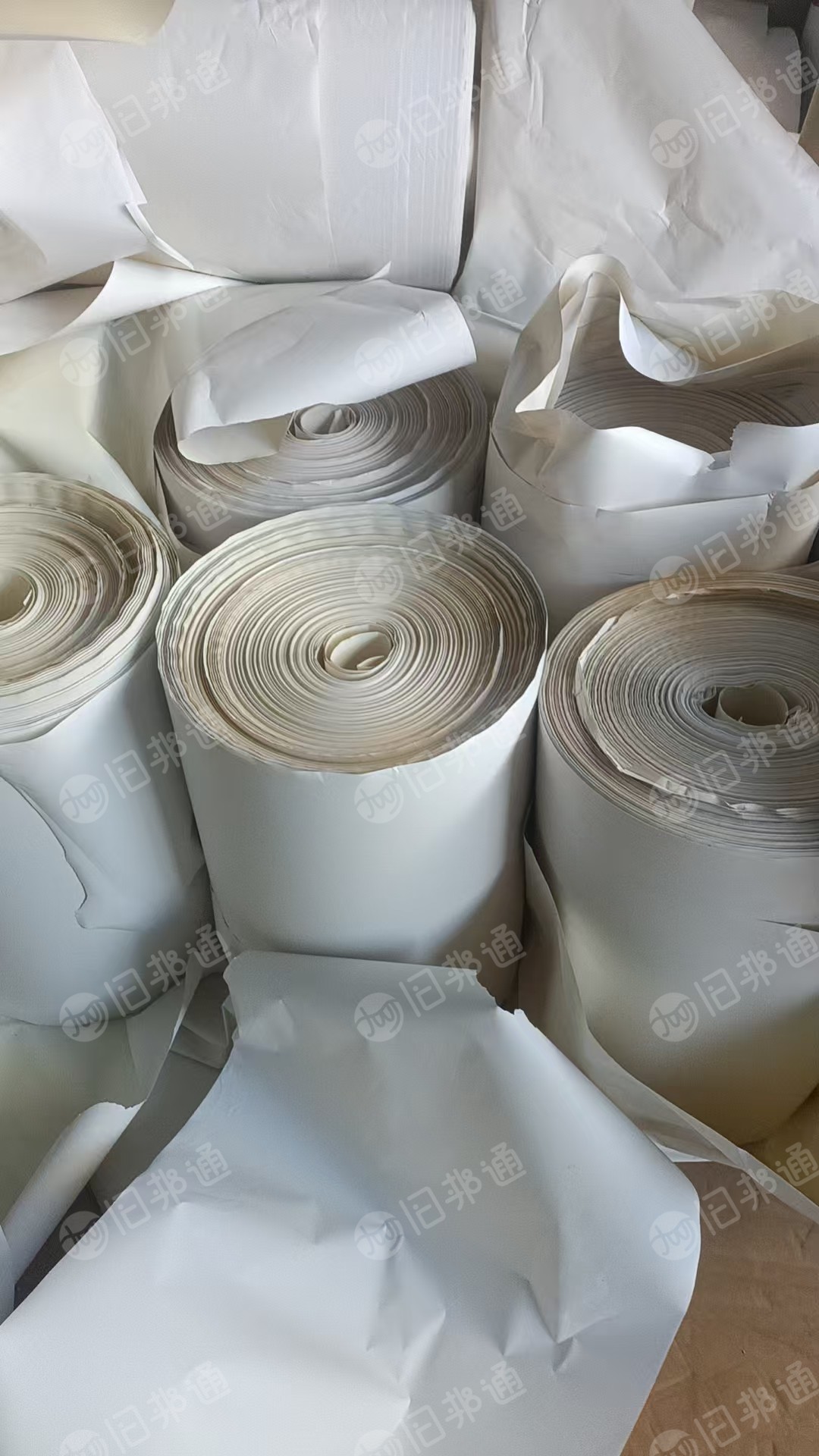 出售电子厂的单面膜卷筒白纸