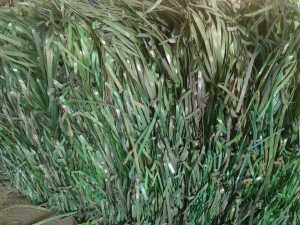 求购pet打包带毛料，月需200吨