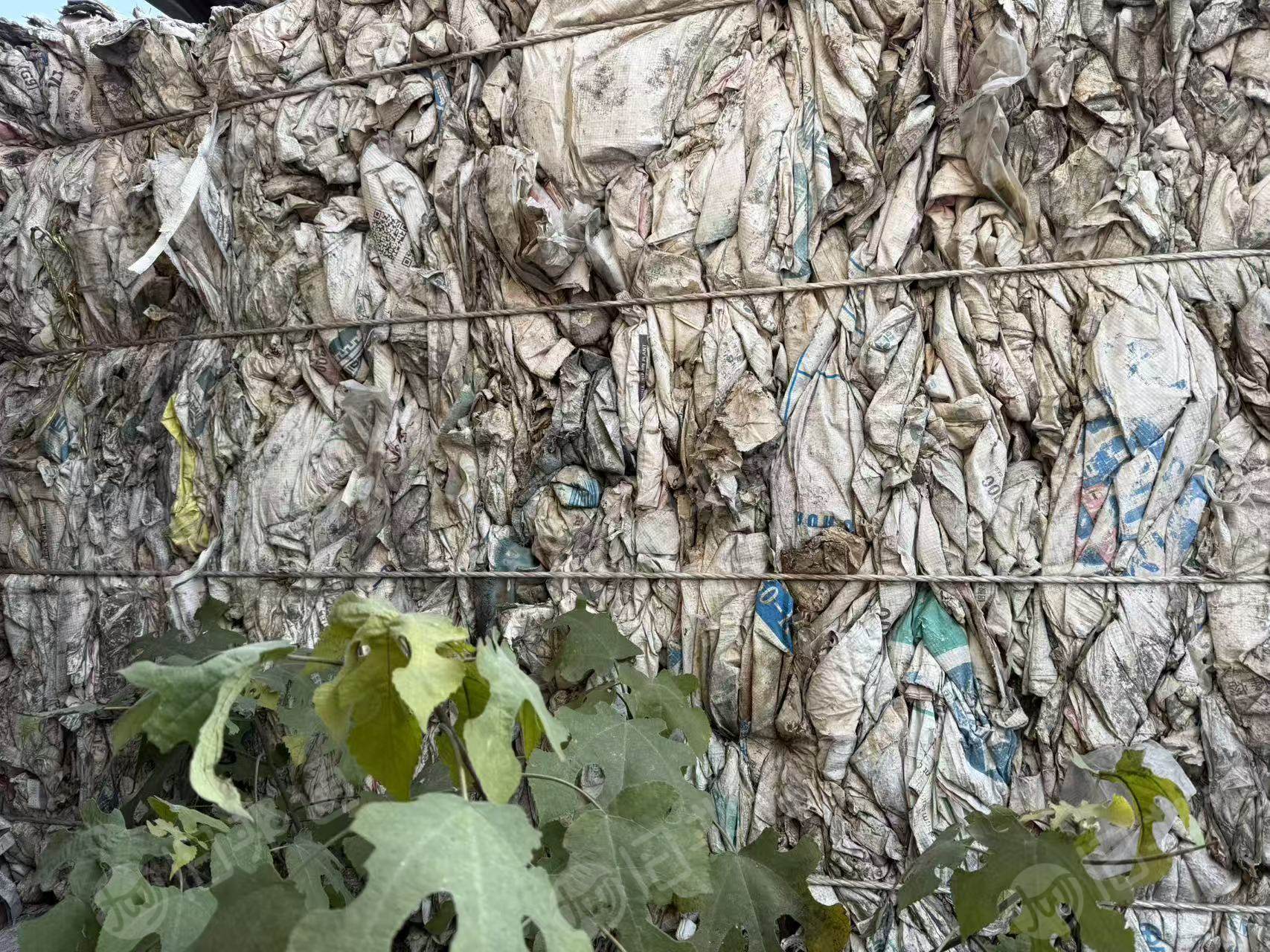 出售纸塑袋废料，存放时间有点长