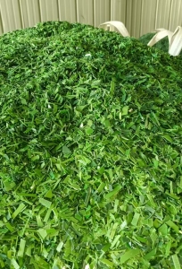 长期出售pet打包带破碎料，水粉的，现货够车