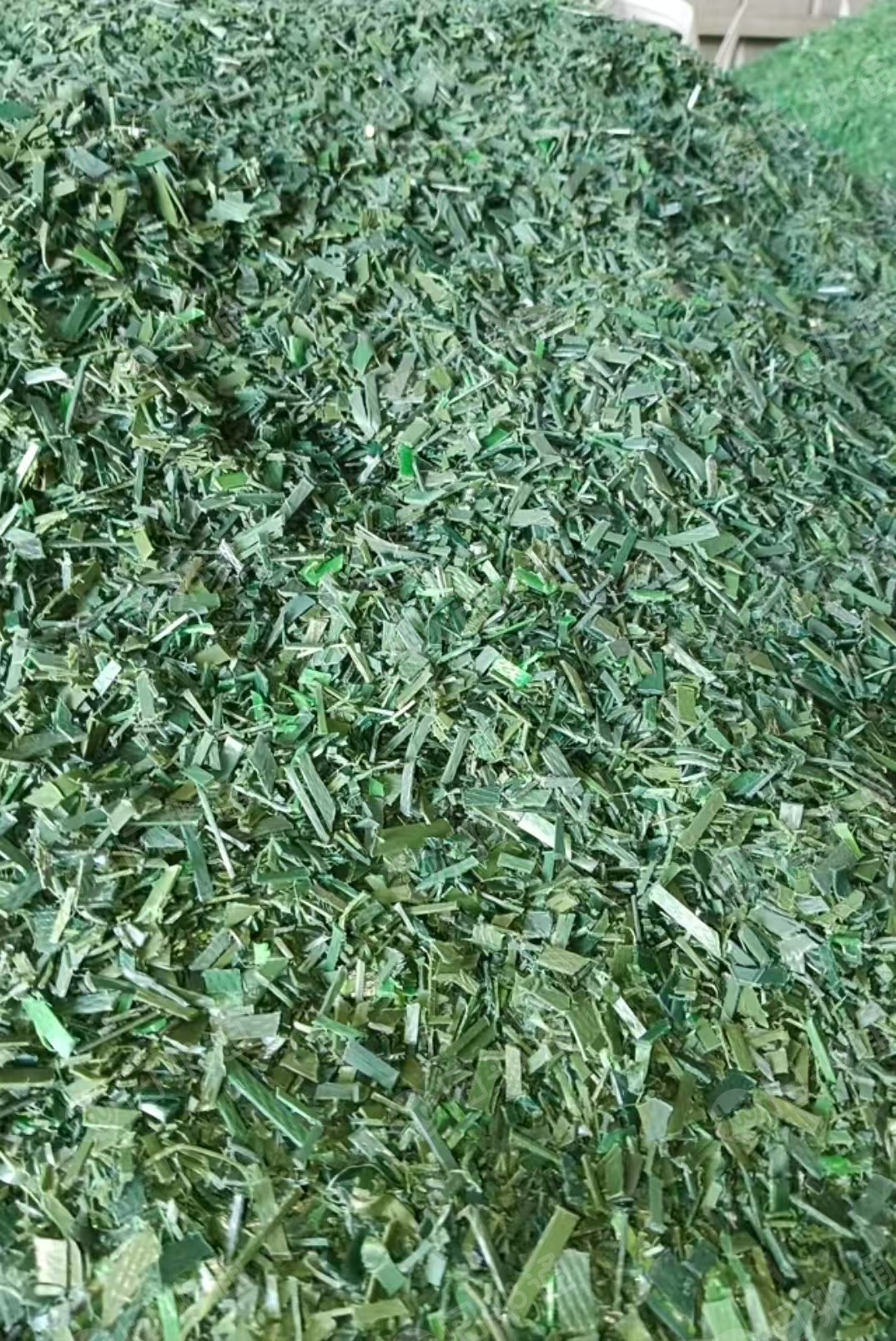 长期出售pet打包带破碎料，水粉的，现货够车