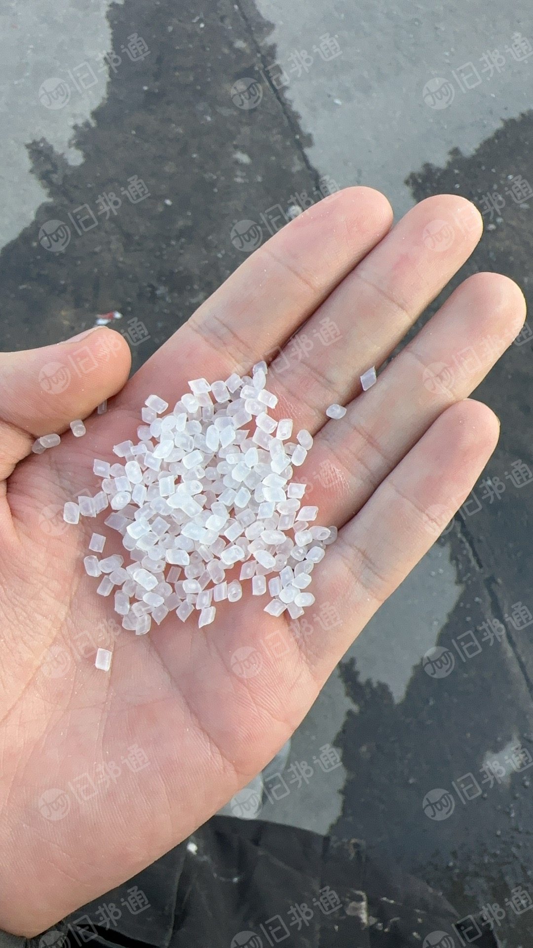 长期出售PP颗粒，PP餐盒颗粒（一级，二级，特级都有），每月1000吨