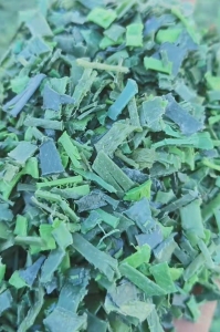 长期出售PET打包带破碎料，干粉的