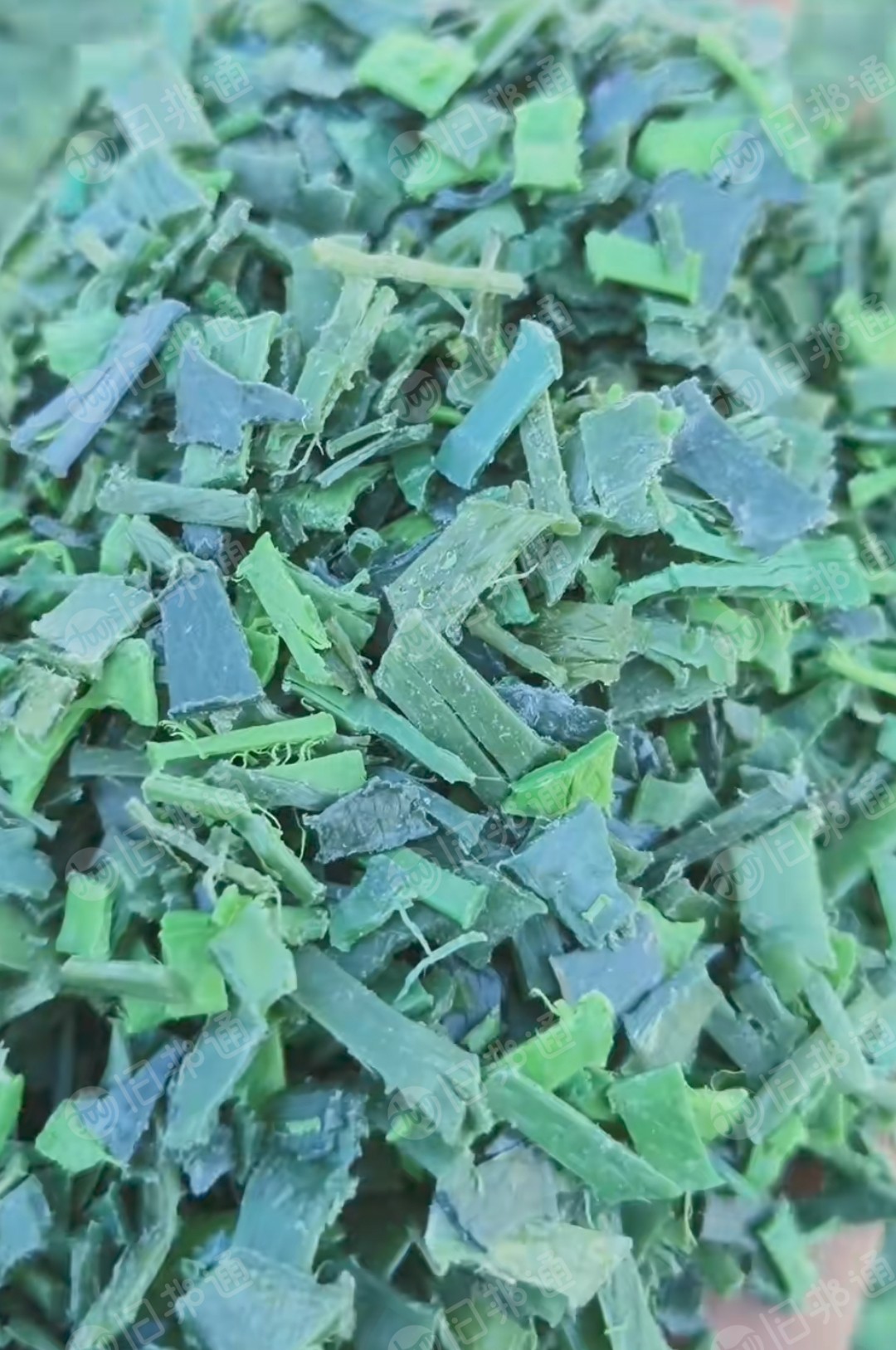 长期出售PET打包带破碎料，干粉的