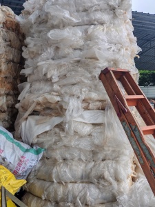 出售PE膜废料，高低压混打的，低压占15%