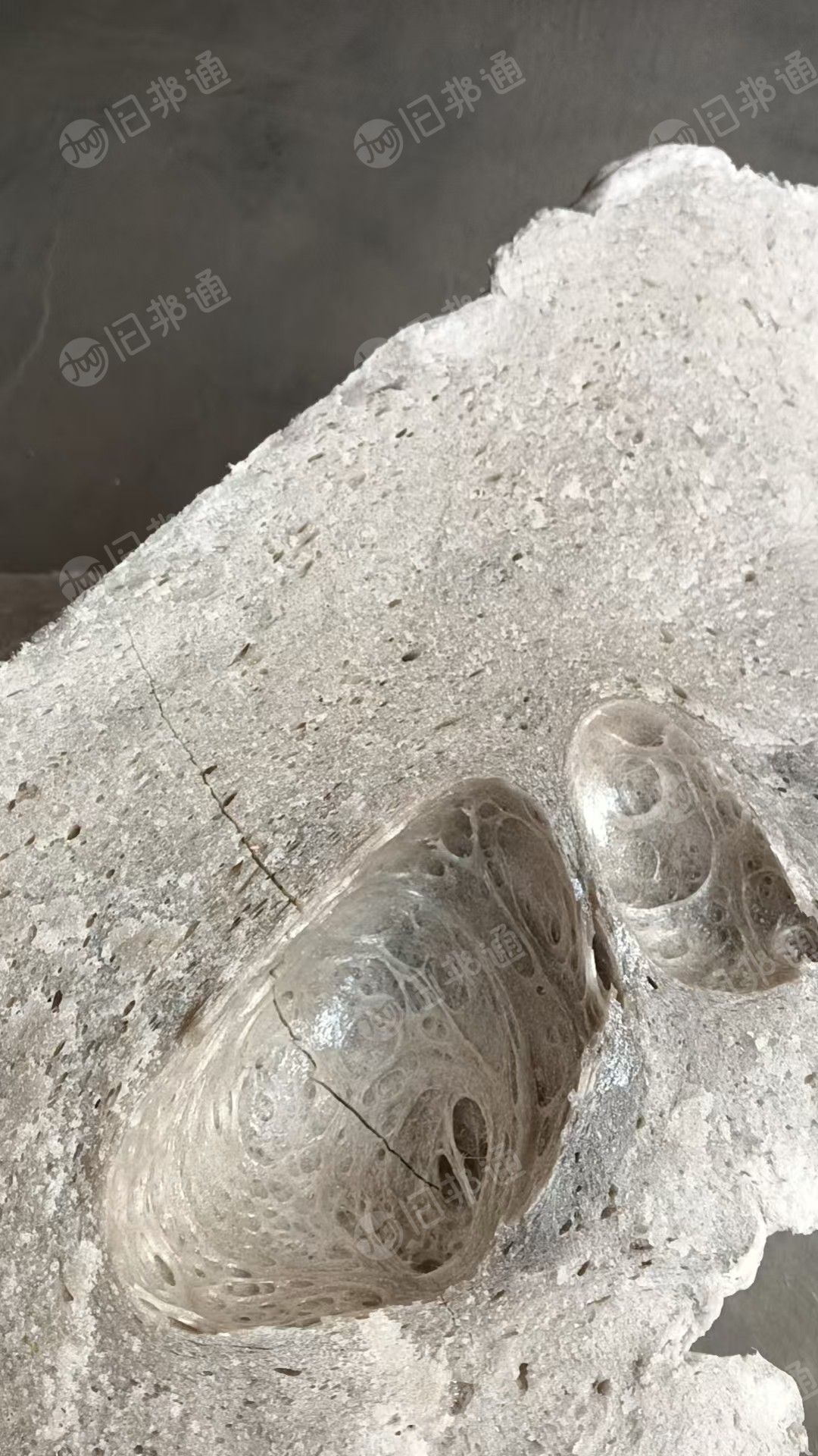 长期出售EPS热熔块，够车就发