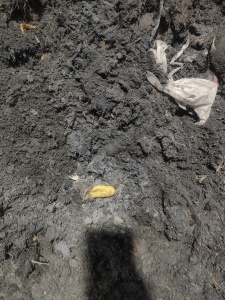 出售锌毛灰，抛光锌灰