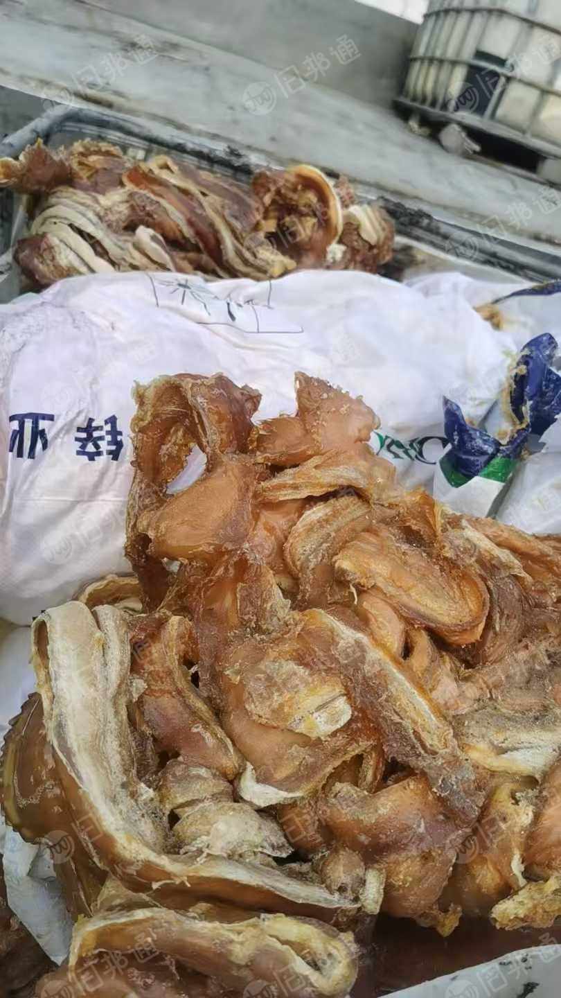 厂家长期处理乳胶活胶