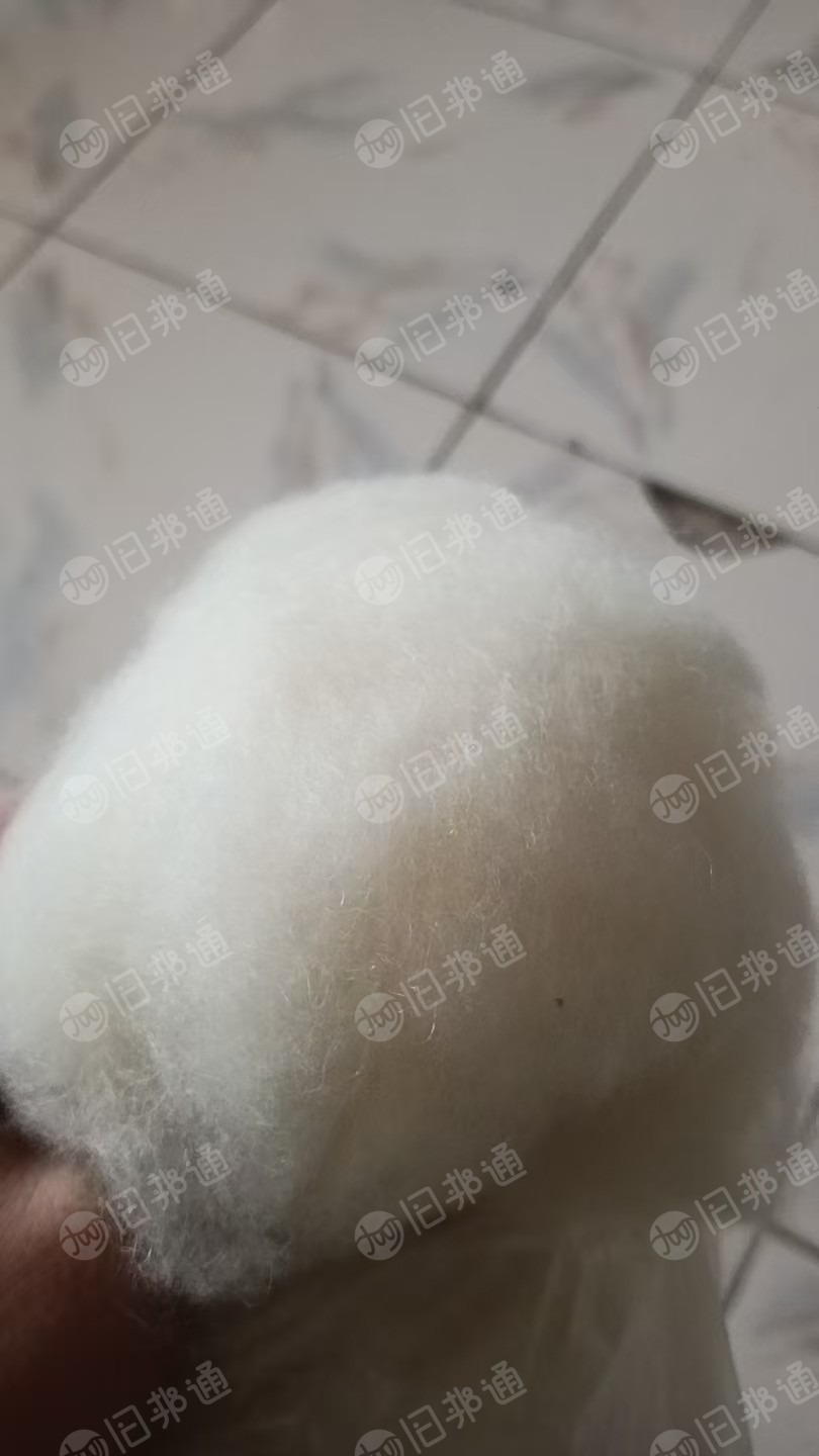 长期出售开好的纯羊毛，羊毛原料，细度21.5，够10吨就发车