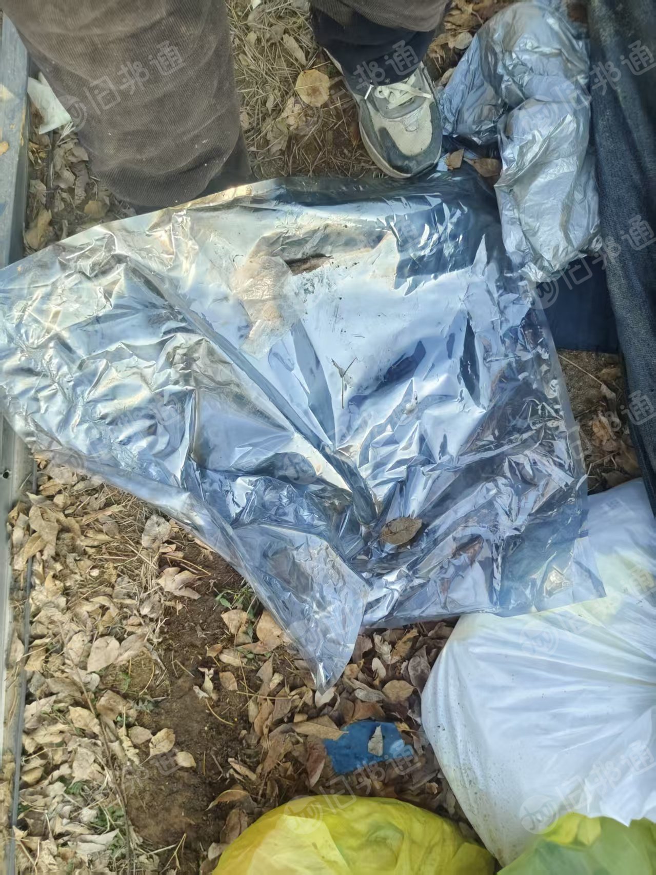 出售富士康下来的各种废膜，杂膜