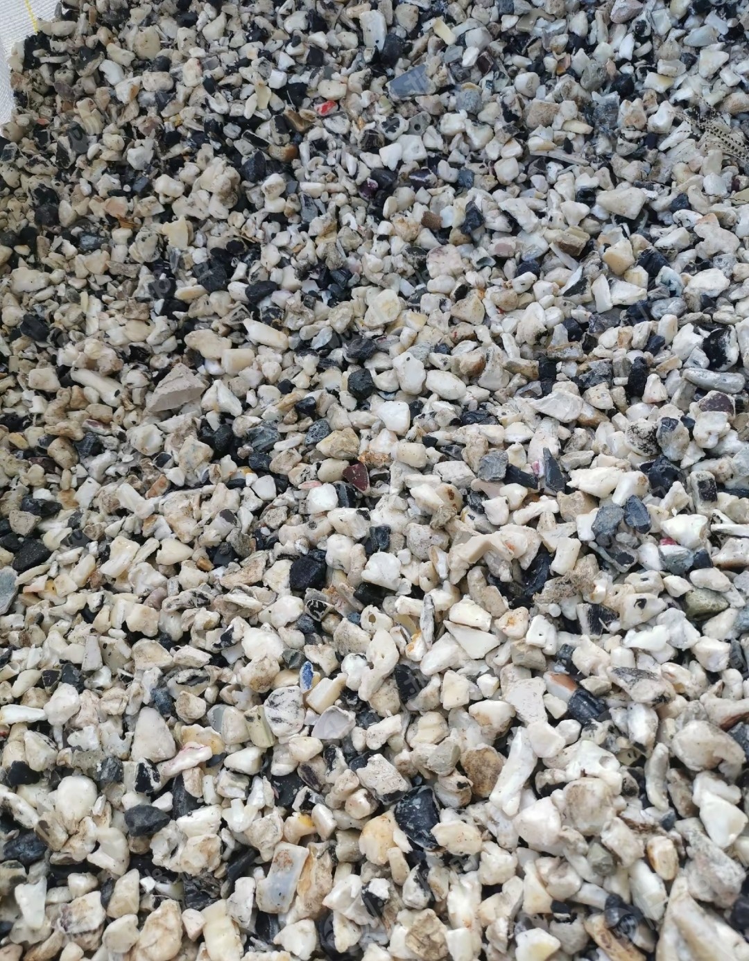 出售ABS鞋跟破碎料，黑花白色，现货十多吨