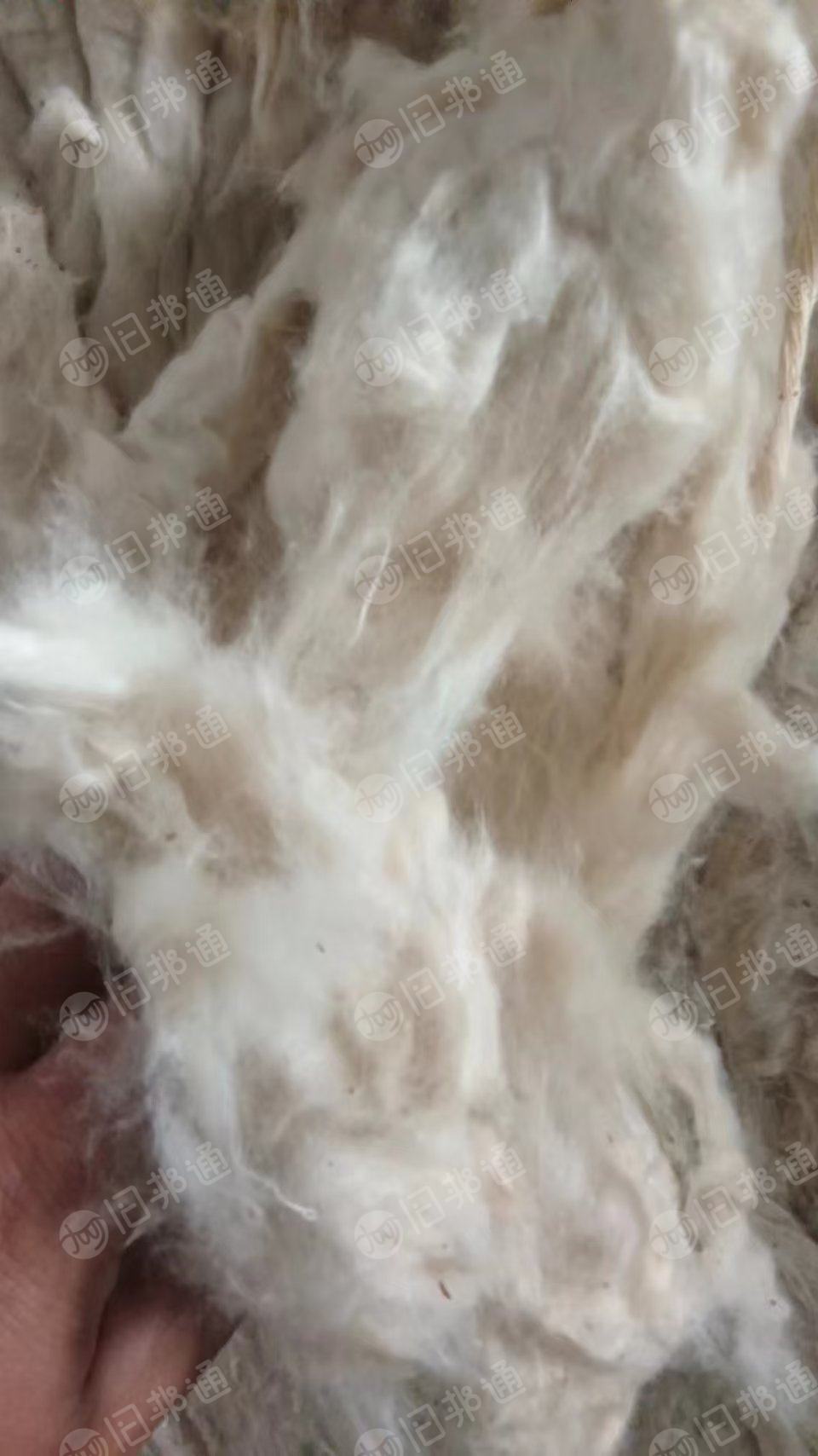 长期回收扫地花，纯棉的或者黏棉的都可以，纤维要长点的17/8以上，月需几十吨，在山东德州