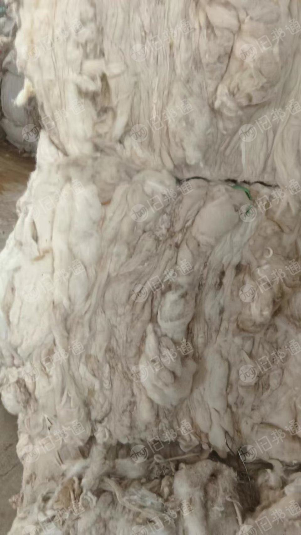 长期回收扫地花，纯棉的或者黏棉的都可以，纤维要长点的17/8以上，月需几十吨，在山东德州