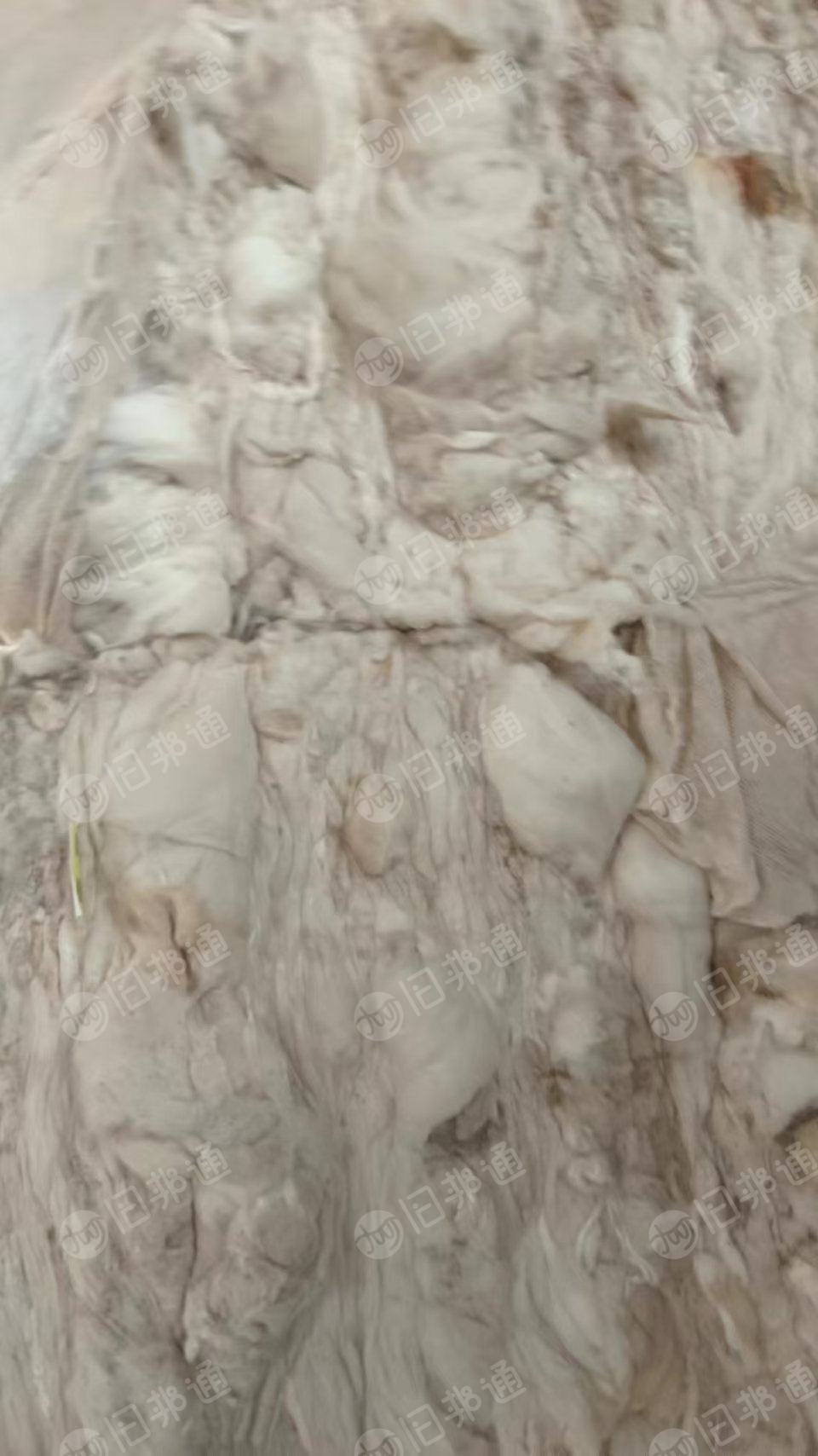 长期回收扫地花，纯棉的或者黏棉的都可以，纤维要长点的17/8以上，月需几十吨，在山东德州