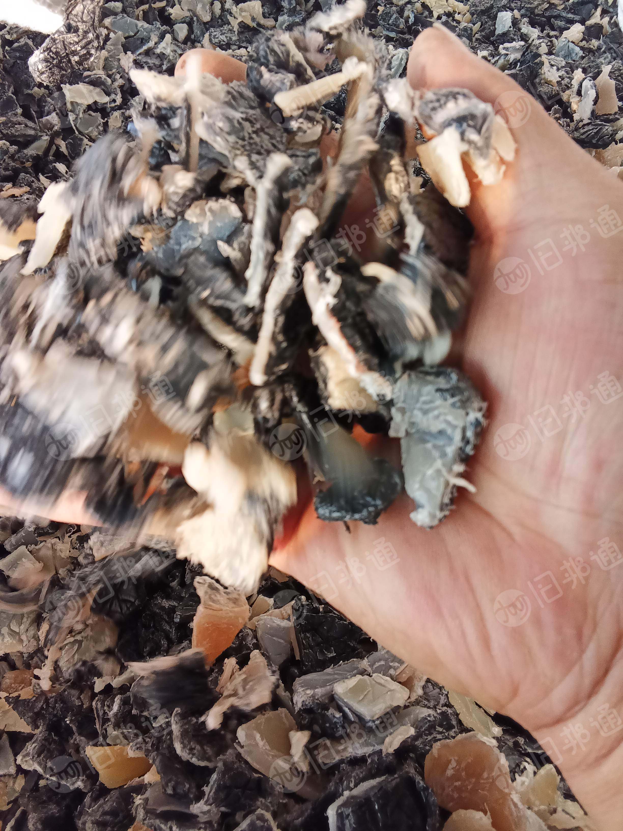 出售汽车油箱破碎料、工业大小蓝桶破碎料