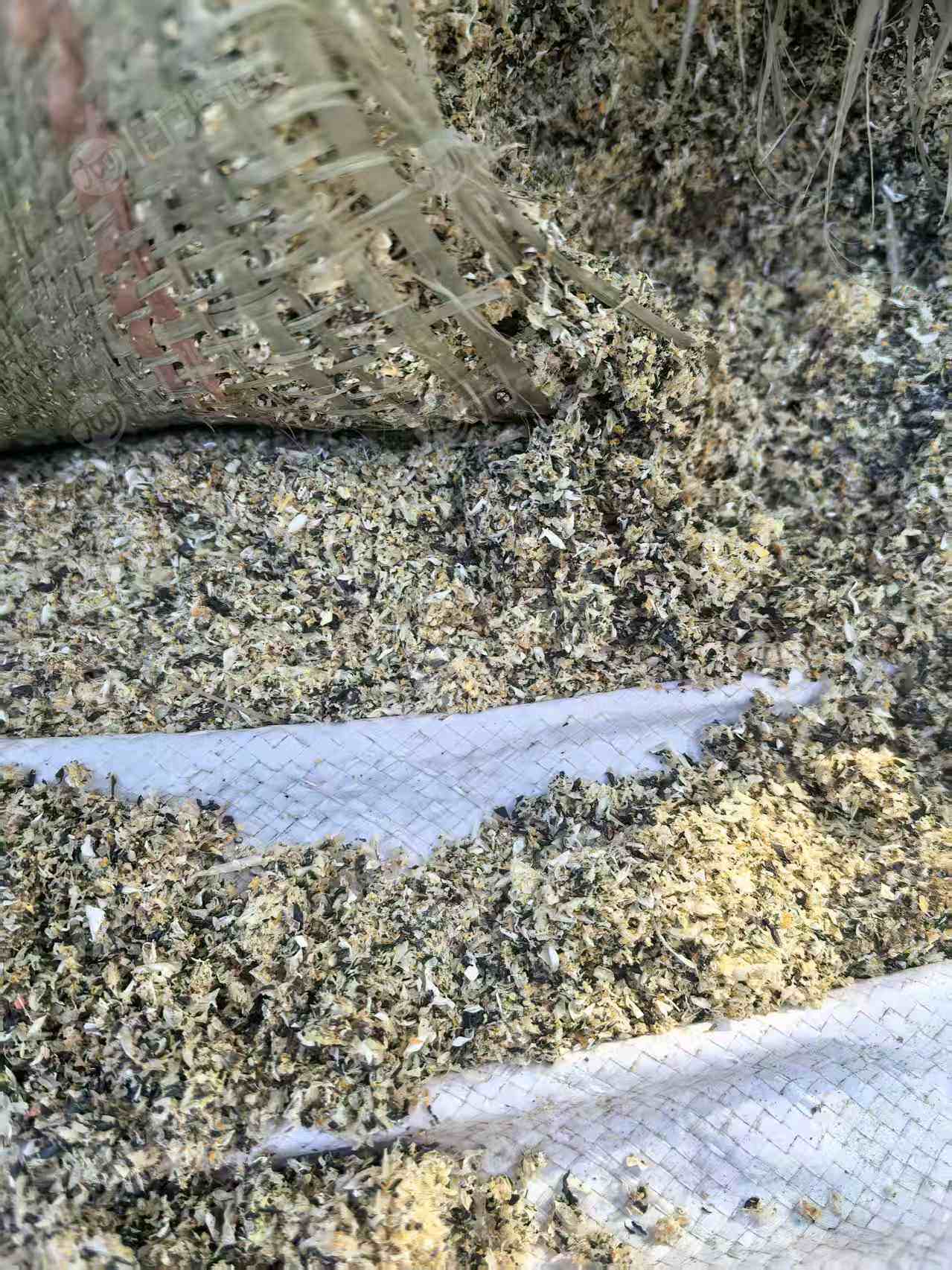 出售PP沫子，现货几十吨，可炼油