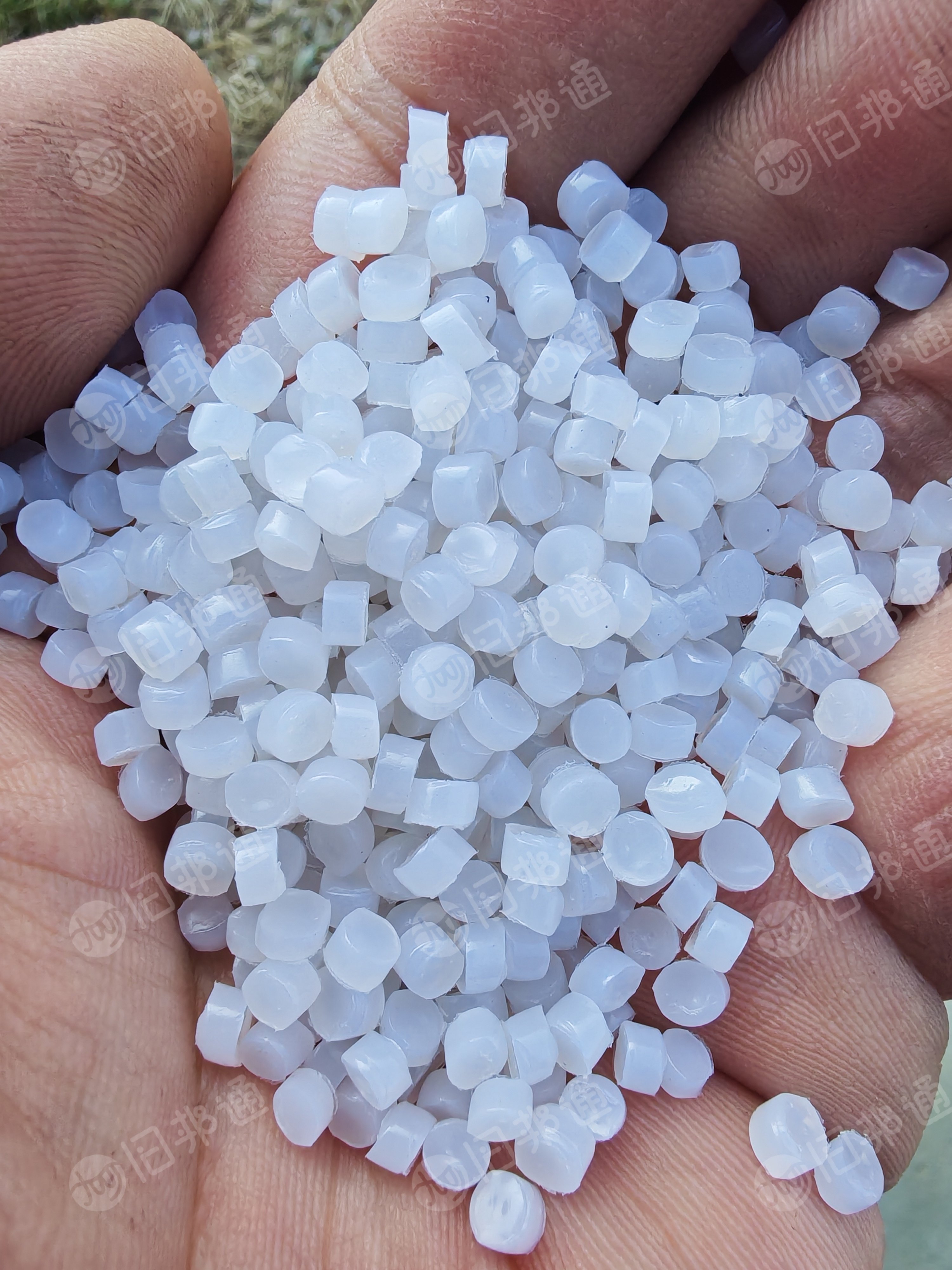 长期大量出售大白珍珠棉颗粒，比亚迪工厂料，每天两吨   80目60目两层