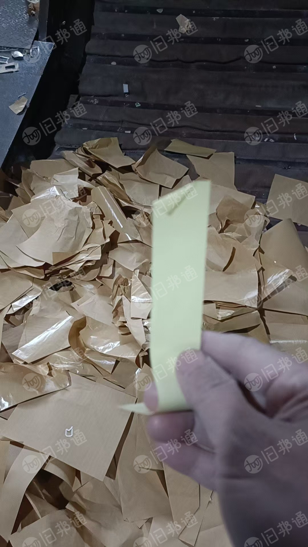 长期出售本色淋膜纸，菜花黄淋膜纸，双面膜白淋膜纸