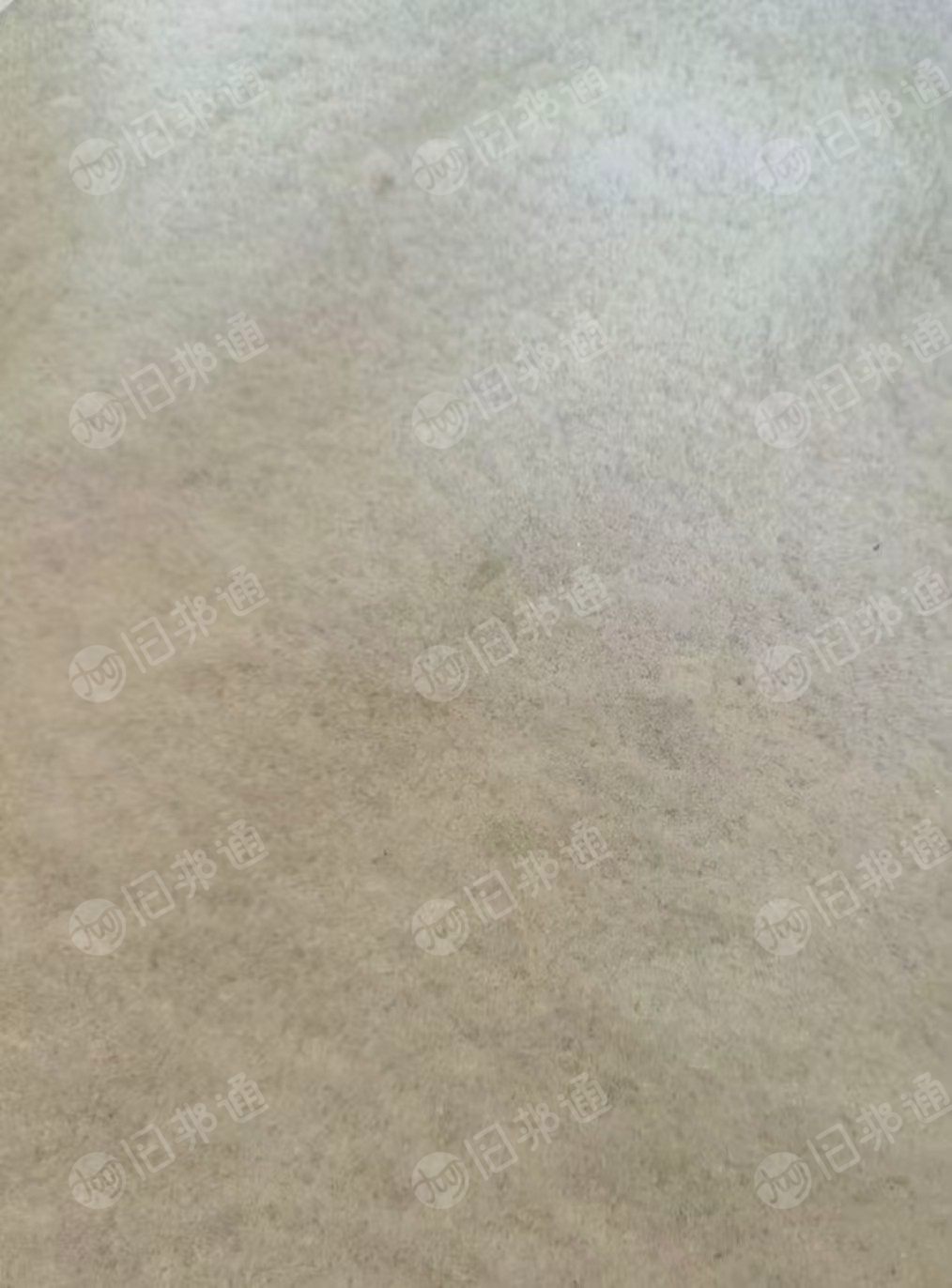 厂家出售pet粉末废料，全部是中带装的